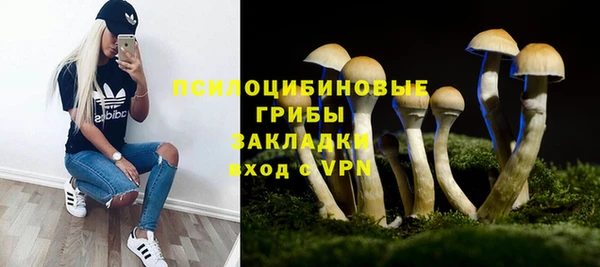 спайс Алексин