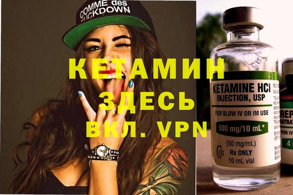 шишки Абаза