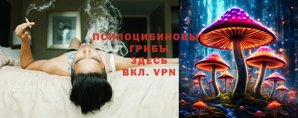 спайс Алексин