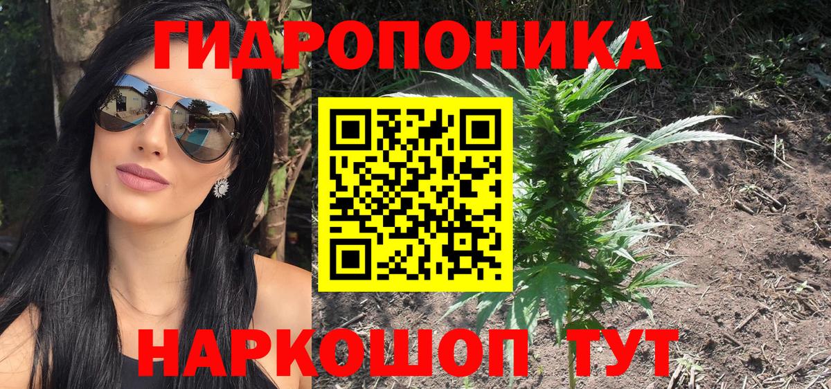 Богданович  Канабис AK-47  Марихуана Bruce Banner  Бошки Шишки конопля  Вход с VPN 